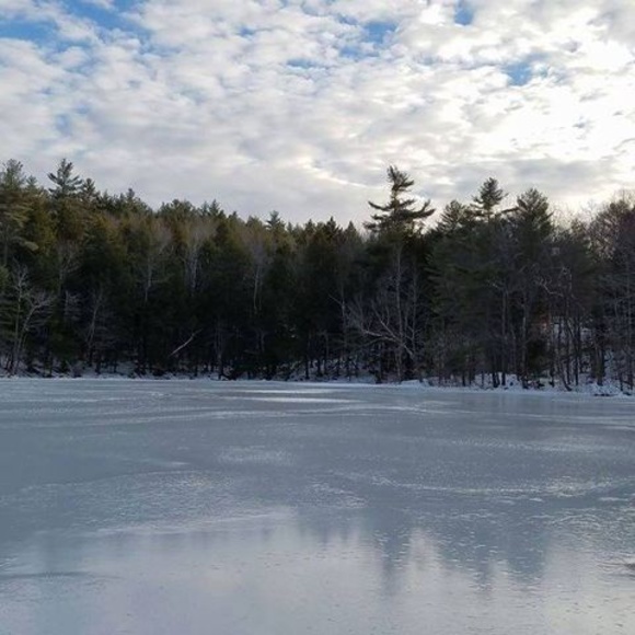 Meet your Posher, Doug - Picture 1 of 1